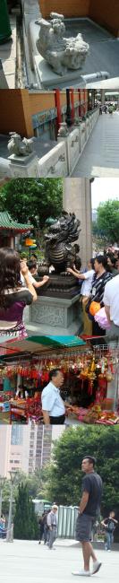 DSC03685-vert.jpg